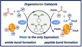 Organoboron catalysis for direct amide/peptide bond formation.